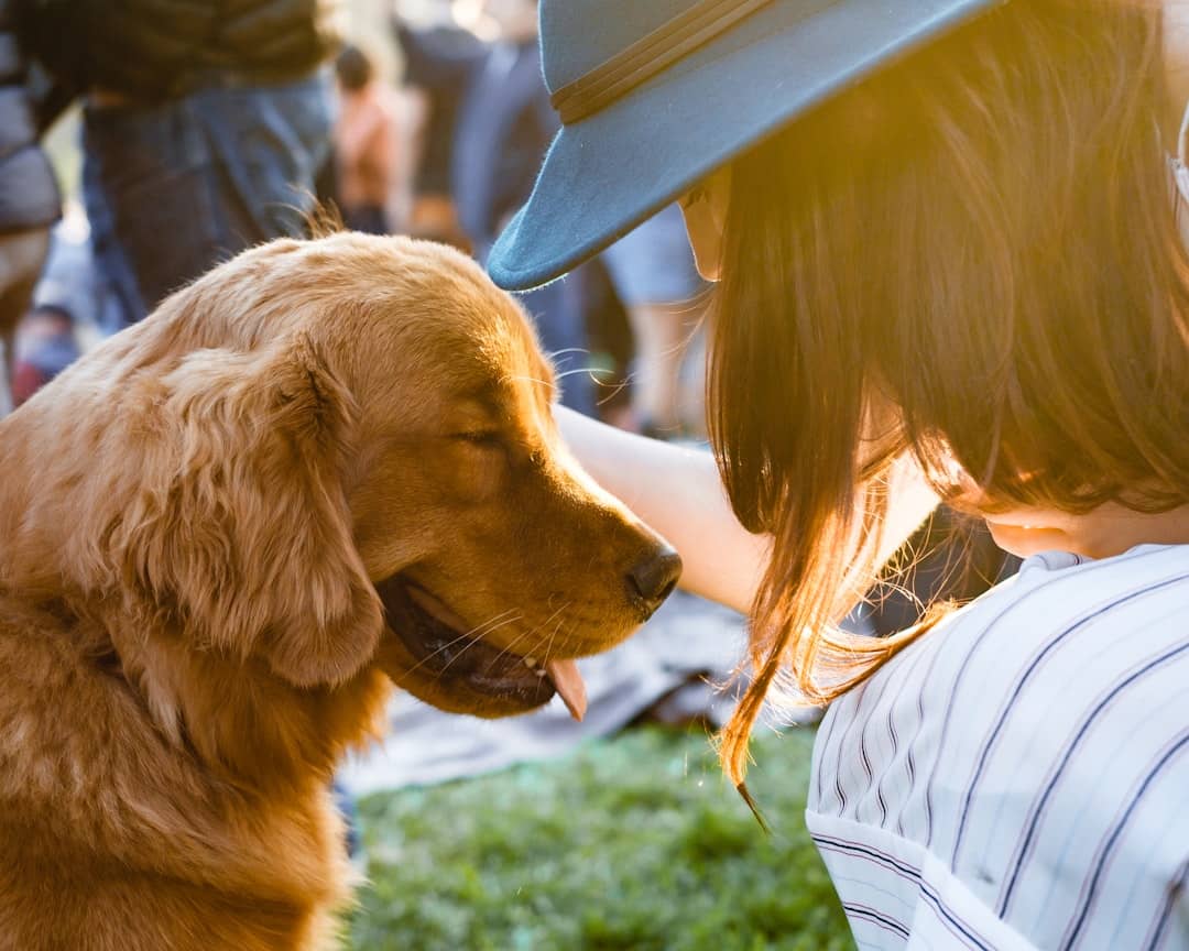 Al momento stai visualizzando Unità Cinofile: L’importanza dei cani addestrati nelle operazioni di ricerca e soccorso